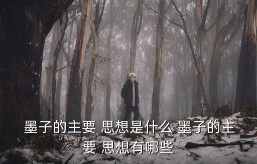  墨子的主要 思想是什么 墨子的主要 思想有哪些