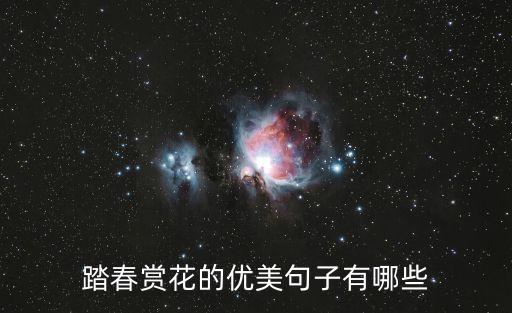 踏春詩句，踏春賞花的優美句子有哪些