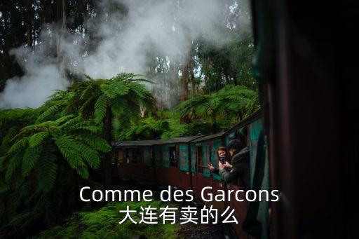 Comme des Garcons大連有賣的么
