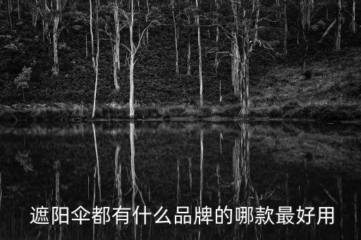  遮陽傘都有什么品牌的哪款最好用