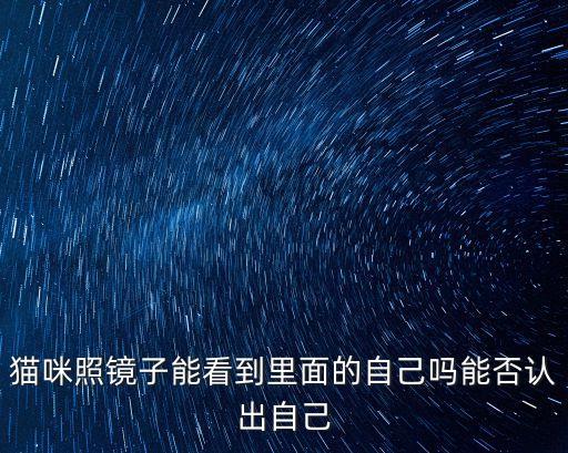 貓咪照鏡子能看到里面的自己嗎能否認出自己