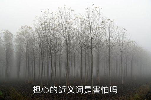 擔心的近義詞是害怕嗎
