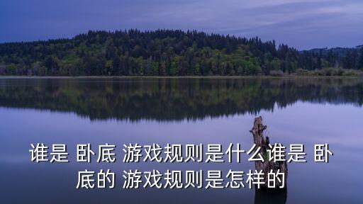 誰是臥底游戲,回顧（三）:第一集:第二集