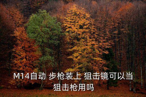 M14自動 步槍裝上 狙擊鏡可以當(dāng) 狙擊槍用嗎
