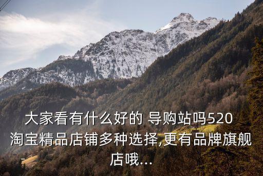 大家看有什么好的 導購站嗎520 淘寶精品店鋪多種選擇,更有品牌旗艦店哦...