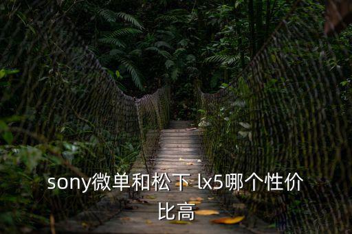 sony微單和松下 lx5哪個性價比高
