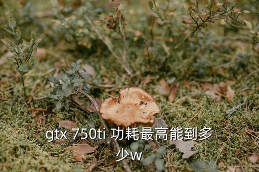 750ti功耗,gtx750ti電力不足顯卡性能不俗
