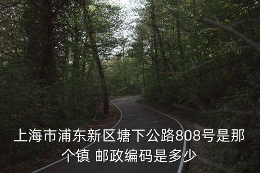 上海市浦東新區塘下公路808號是那個鎮 郵政編碼是多少