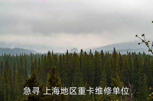 急尋 上海地區重卡維修單位