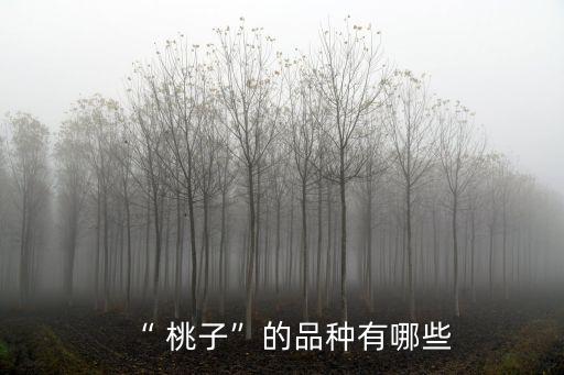 桃子的資料,7月桃子季節的來臨
