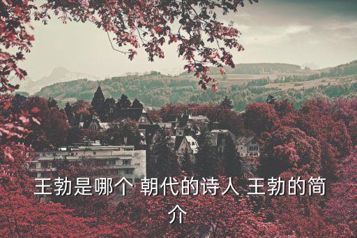  王勃是哪個 朝代的詩人 王勃的簡介