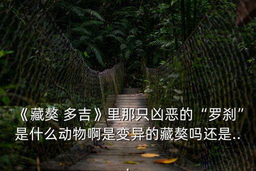 藏獒多吉,《藏獒多吉》原作者改編漫畫引發(fā)爭議