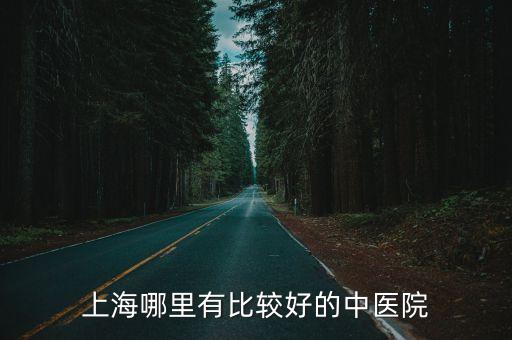 上海哪里有比較好的中醫院