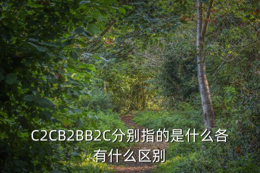 C2CB2BB2C分別指的是什么各有什么區(qū)別