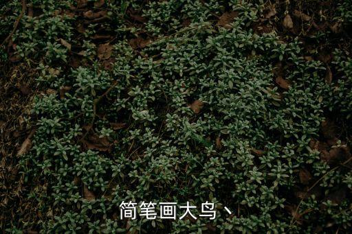 簡筆畫大鳥丶
