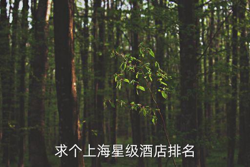 求個上海星級酒店排名