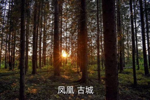 鳳凰古城簡介,從高鐵站到鳳凰古城全程12公里直接打車就行