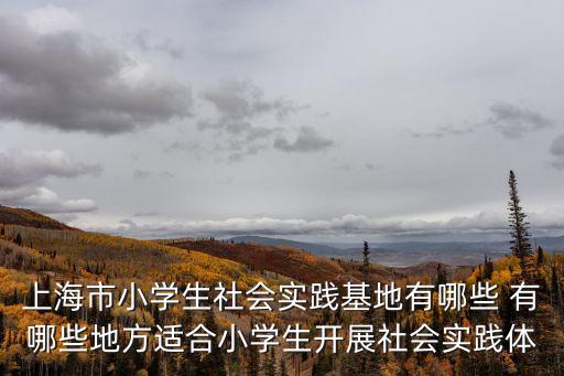 上海市小學(xué)生社會實(shí)踐基地有哪些 有哪些地方適合小學(xué)生開展社會實(shí)踐體