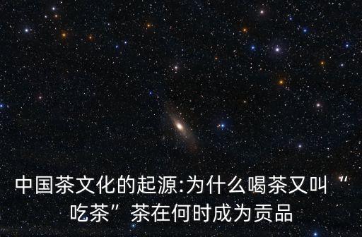 說茶,中國飲茶文化淵源可追溯到上千年前