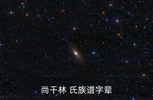 林氏族譜,洛陽有個姓氏叫做河南林姓?