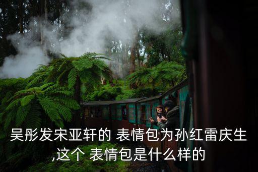 吳彤發(fā)宋亞軒的 表情包為孫紅雷慶生,這個 表情包是什么樣的