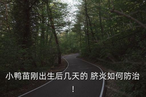 小鴨苗剛出生后幾天的 臍炎如何防治!