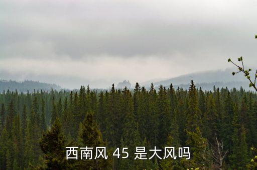 西南風 45 是大風嗎