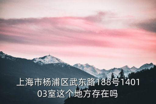上海市楊浦區(qū)武東路188號(hào)140103室這個(gè)地方存在嗎