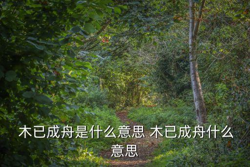 木已成舟,木已成舟第三十四回