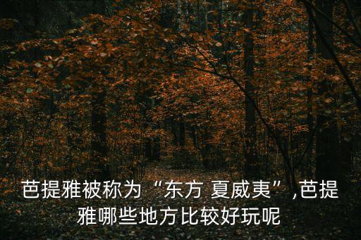 上海東方夏威夷,中國東南部大部分地區(qū)屬于臺灣行政管轄
