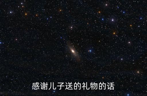 感謝兒子送的禮物的話