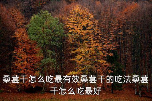 桑葚干怎么吃最有效桑葚干的吃法桑葚干怎么吃最好