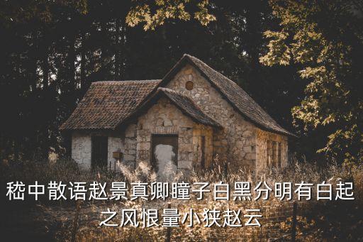 嵇中散，嵇中散臨刑東市神氣不變 翻譯句子