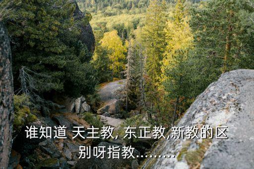 東正教和天主教的區別,基督教分三大流派天主教和新教各占一半