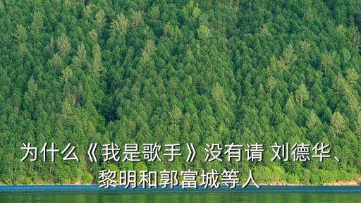 劉德華出場費,劉德華被打趴趴走?沈陽黑幫老大:可躺著回香港