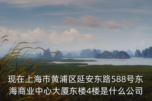 現在上海市黃浦區延安東路588號東海商業中心大廈東樓4樓是什么公司
