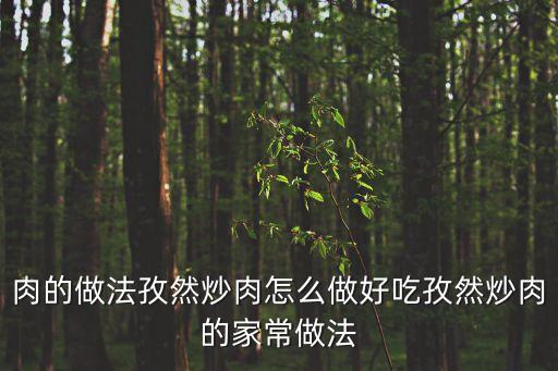 孜然炒肉，孜然炒肉怎么做