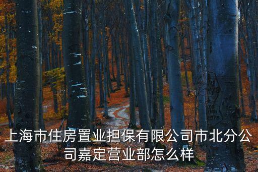 上海市北置業，上海住房置業擔保市北交易中心在老滬太路上是不是周日周一不交
