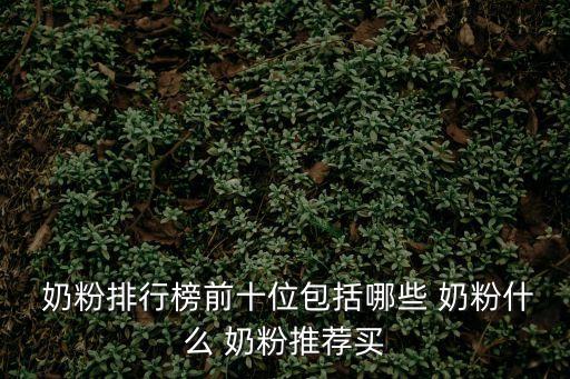  奶粉排行榜前十位包括哪些 奶粉什么 奶粉推薦買
