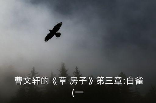  曹文軒的《草 房子》第三章:白雀(一
