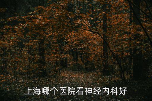 上海哪個醫院看神經內科好