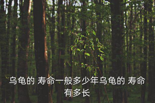 中華草龜壽命,巴西龜萬歲壽命長過35歲中華花龜壽命五六十年