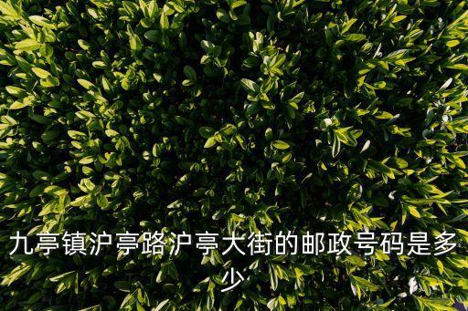 九亭鎮滬亭路滬亭大街的郵政號碼是多少