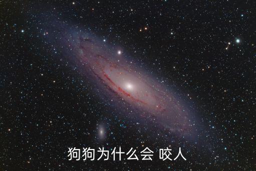 小狗咬人,我該怎么養你的狗?別讓小狗吃生肉