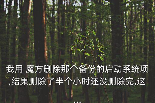 我用 魔方刪除那個備份的啟動系統項,結果刪除了半個小時還沒刪除完,這...