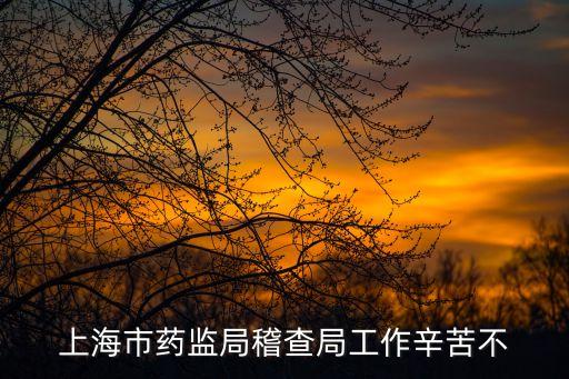 上海市藥監局稽查局工作辛苦不