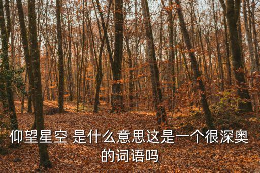 仰望星空 是什么意思這是一個很深奧的詞語嗎