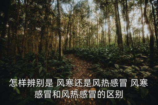 怎樣辨別是 風寒還是風熱感冒 風寒感冒和風熱感冒的區別