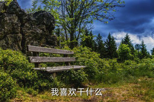 我喜歡什么，我喜歡什么