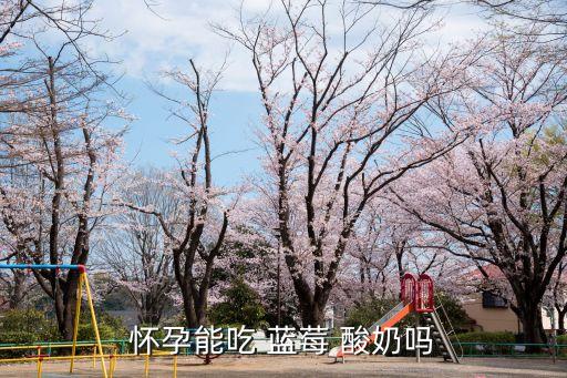 藍莓酸奶,孕婦可以吃藍莓酸奶對健康有益!